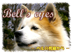 Bell's eyes 　-ベルの視線から-